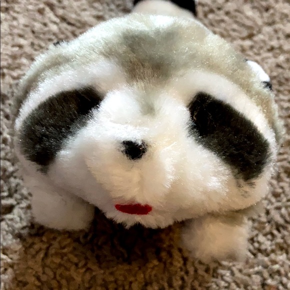 Electric Raccoon - Picture 1 of 3